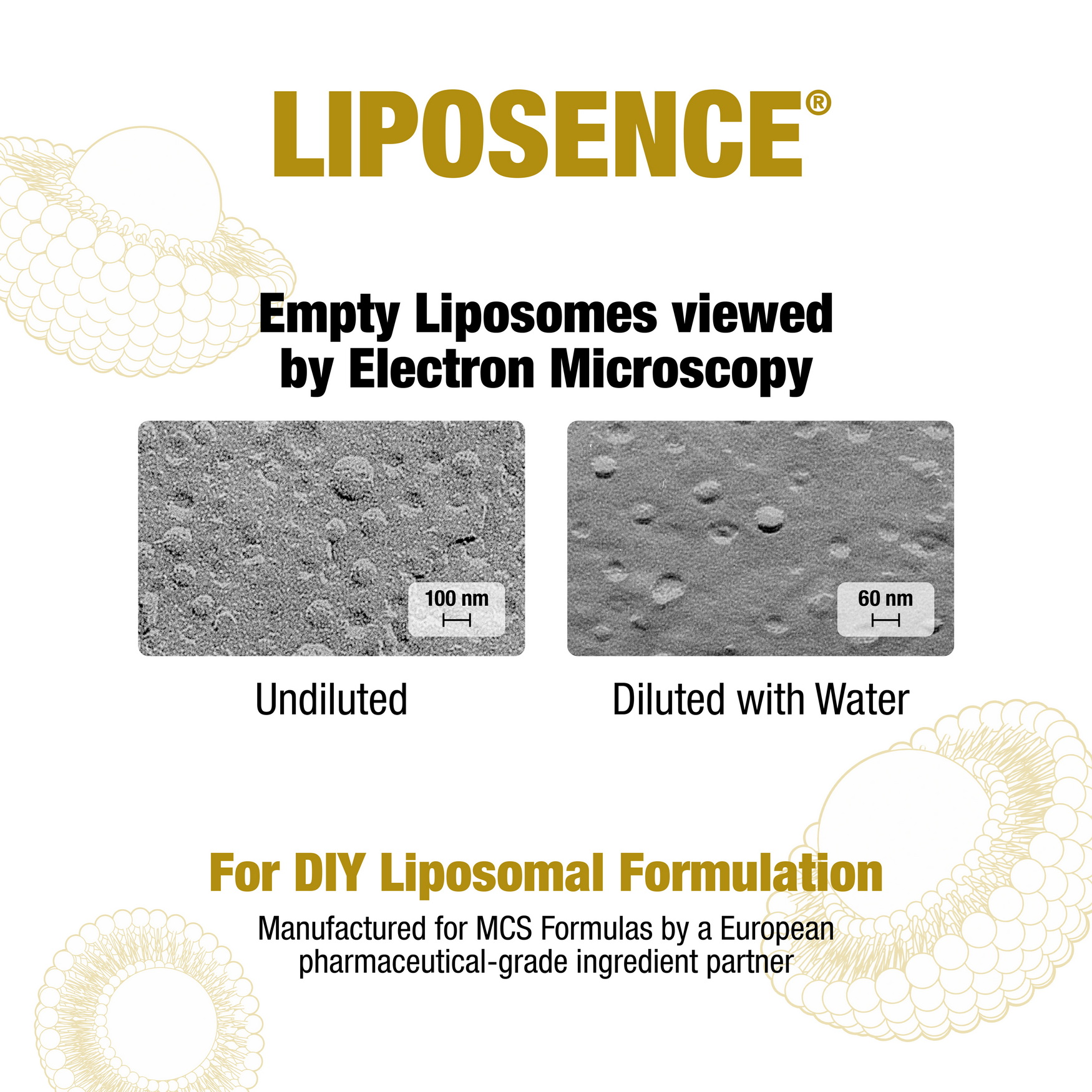 LipoSence - Electron Microscopy image